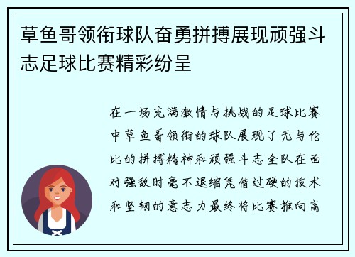 草鱼哥领衔球队奋勇拼搏展现顽强斗志足球比赛精彩纷呈