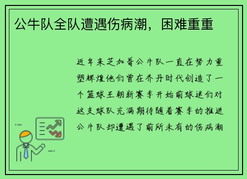 公牛队全队遭遇伤病潮，困难重重